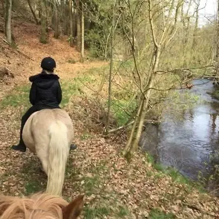 Gasthof Holmens Lemming